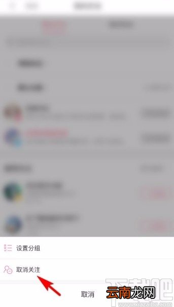 哔哩哔哩app取消关注的方法