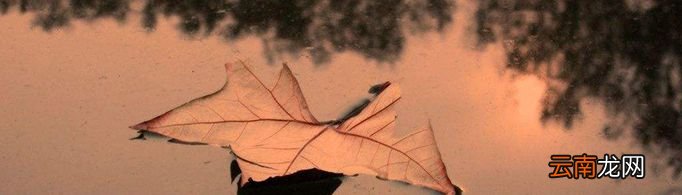 为什么在水面放一片树叶可使水不易洒出？