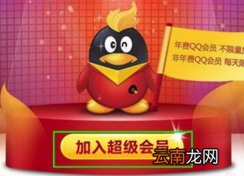 qq大会员身份名牌怎么设置_qq大会员身份名牌开通方法一览