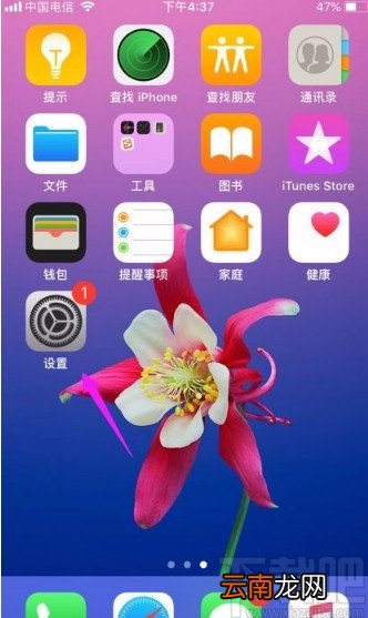 苹果手机开启FaceTime通话功能的方法