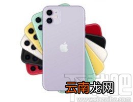苹果手机开启FaceTime通话功能的方法