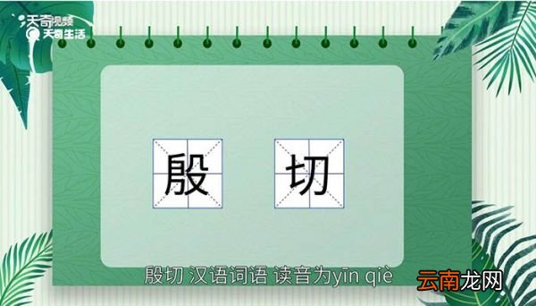 殷切的意思 殷切什么意思