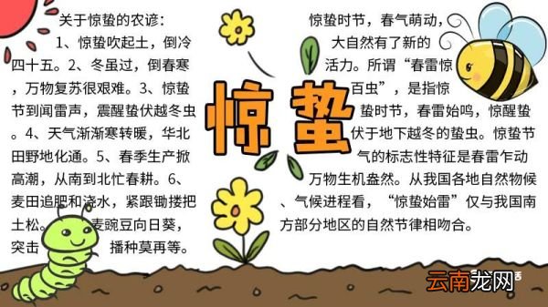 惊蛰节气手抄报 惊蛰节气手抄报画法