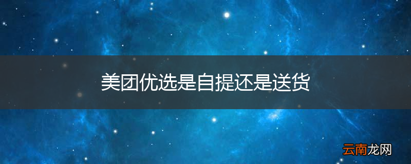 美团优选是自提还是送货