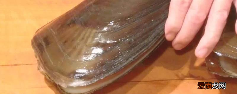 带子要蒸多久才熟