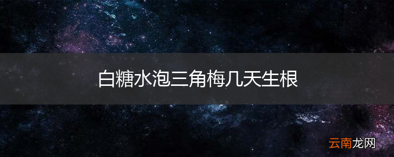 白糖水泡三角梅几天生根