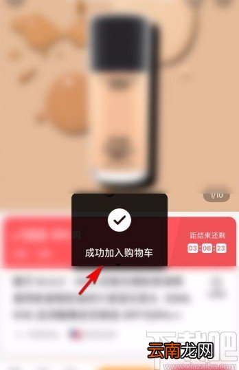 小红书app将商品加入购物车的方法