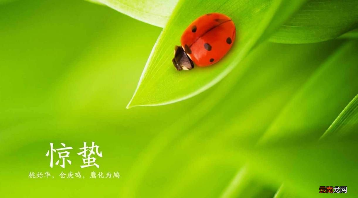 惊蛰是什么季节?