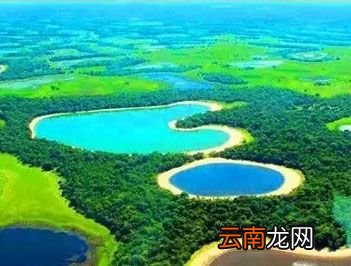 世界上最大的湿地是什么？
