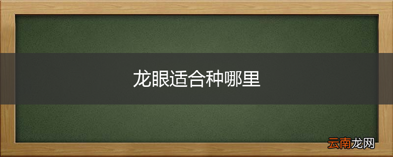龙眼适合种哪里