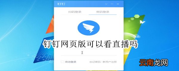 钉钉网页版可以看直播吗