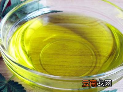 炸完东西的油应该怎么处理