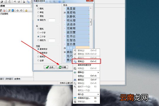 吉吉写作如何起名 起名方法说明