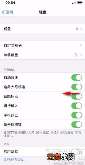 苹果手机关闭智能标点功能的方法