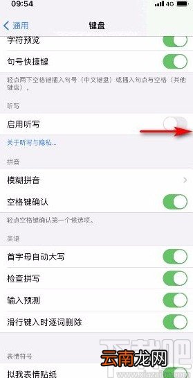 苹果手机启用听写功能的方法