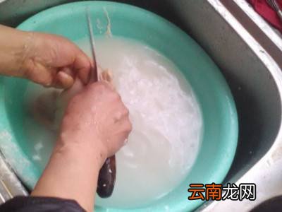如何清洗猪肚