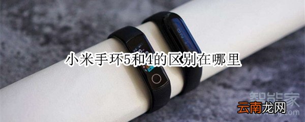 小米手环5和4的区别在哪里