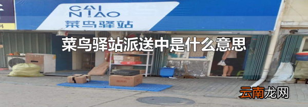 菜鸟驿站派送中是什么意思
