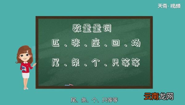 量词有哪些哪些是量词