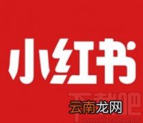 小红书app关注主播的方法