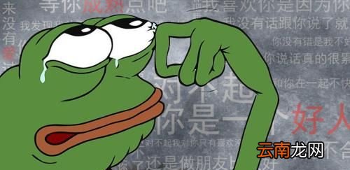 备胎是什么意思？