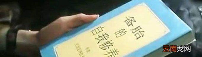 备胎是什么意思？