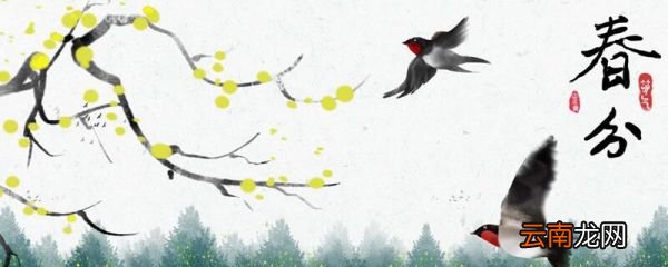 春分都有哪些特点 春分节气的特点是什么