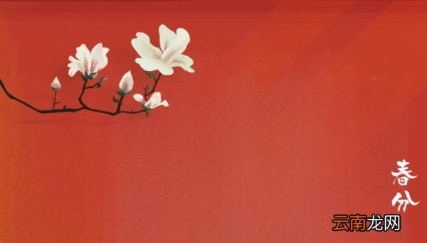 春分都有哪些特点 春分节气的特点是什么