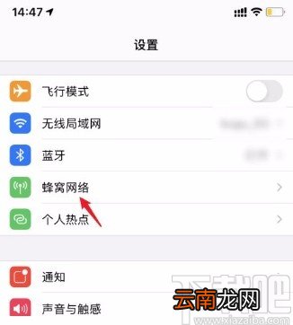 苹果12设置4G网络的方法
