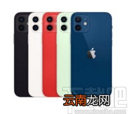 苹果12设置4G网络的方法