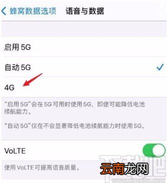 苹果12设置4G网络的方法
