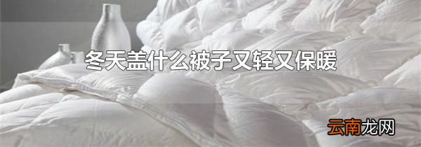 冬天盖什么被子又轻又保暖