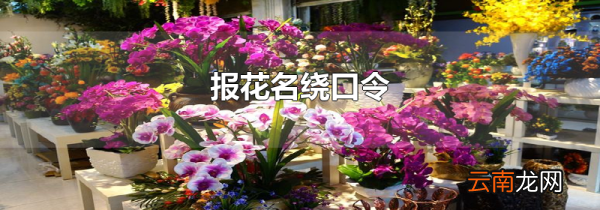 报花名绕口令