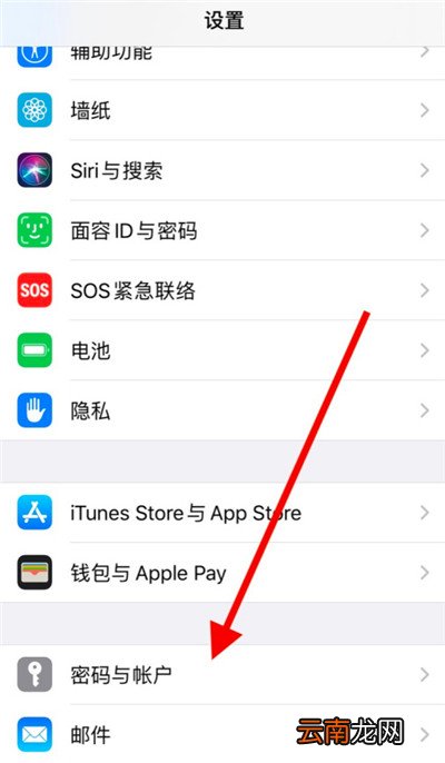 ios密码管理在哪里