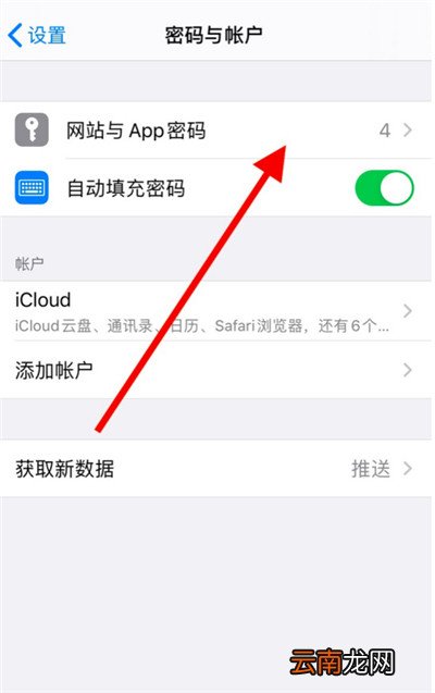 ios密码管理在哪里
