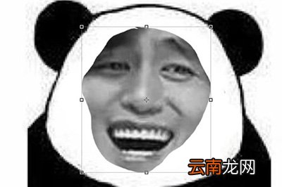 PS如何制作熊猫头表情包 制作方法说明