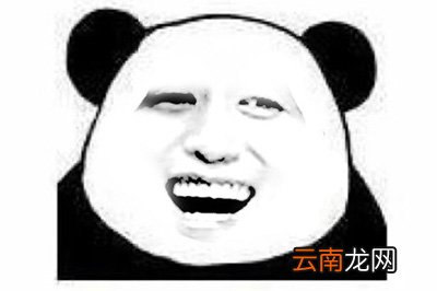 PS如何制作熊猫头表情包 制作方法说明