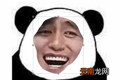 PS如何制作熊猫头表情包 制作方法说明