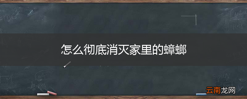 怎么彻底消灭家里的蟑螂