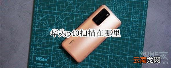 华为p40扫描在哪里