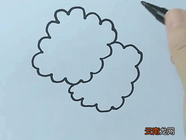 饼干简笔画