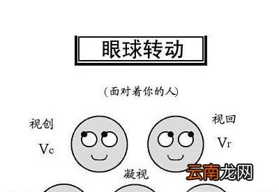 恢复视力的训练方法