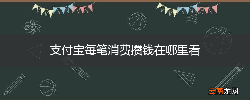 支付宝每笔消费攒钱在哪里看