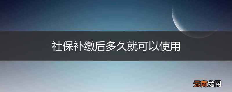 社保补缴后多久就可以使用