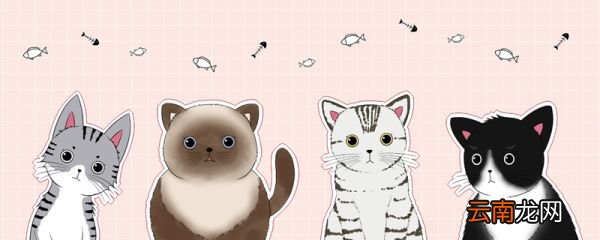 小猫怎么画简单又可爱 小猫咪怎么画才可爱