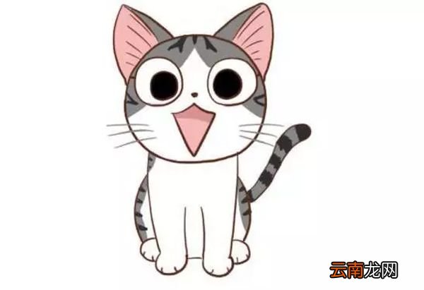 小猫怎么画简单又可爱 小猫咪怎么画才可爱