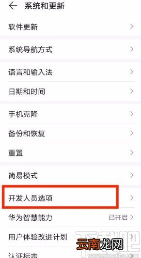 华为手机将后台进程限制设置为标准限制的方法