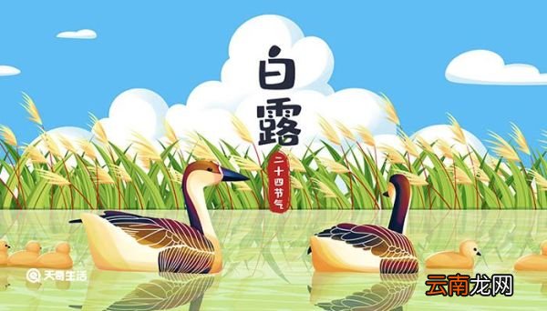 白露的由来 白露的来历