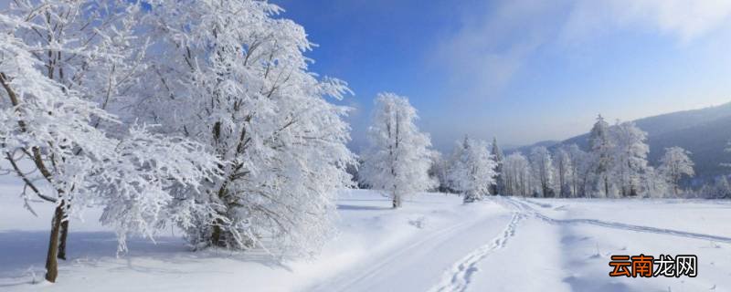 为什么不下雪
