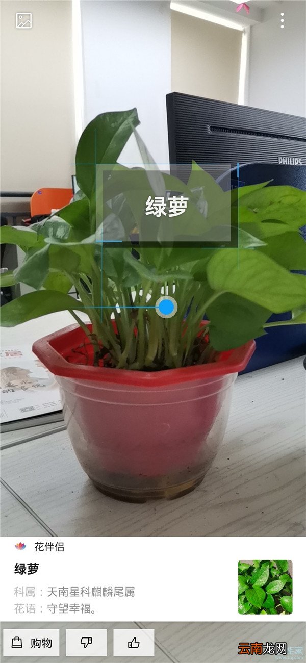 华为识图怎么用